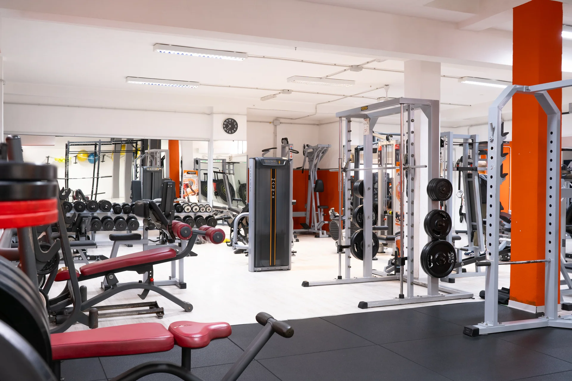 La nostra palestra - Immagine 4